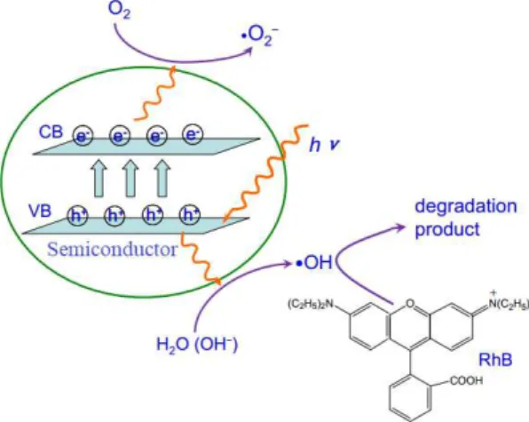Figure 1.3  –  Photocatalytic mechanism of RhB degradation with a semiconductor (such as TiO 2  or ZnO) (adapted from  [66])