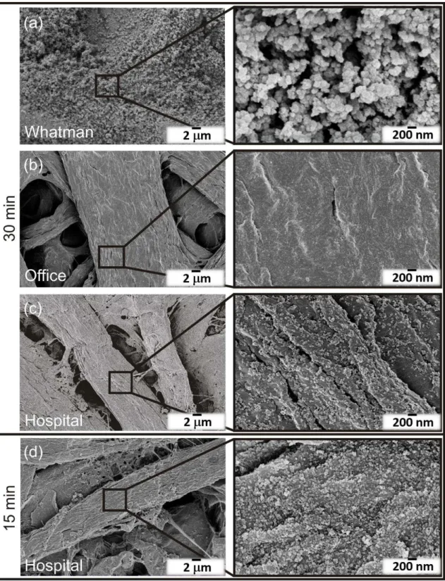 Figure 3.2 – TiO 2  nanostructures grown on (a) Whatman, (b) office and (c) hospital papers at 30 min synthesis time