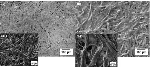 Figure 3.1- SEM images top view of (a) OP and (b) Whatman nº1. 