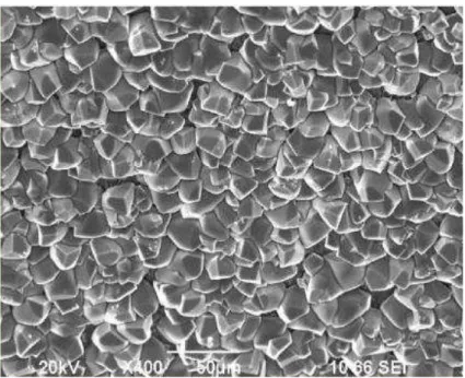 Figura 3.15. Morfologia de um filme de produtos de corrosão de carbonato de ferro  formado sobre  o aço carbono