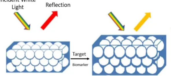 Figure 1: Induced changes in the optical response of photonic crystals, such as structured colloidal silica  nanoparticles, upon molecular sensing