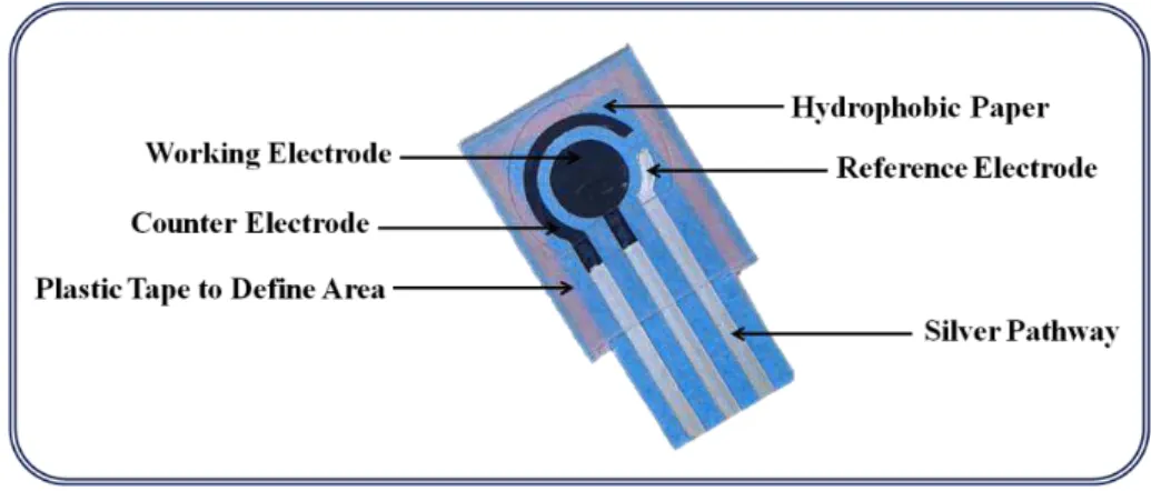 Figure 2.12: Main constituents of a paper-based assembly with three-integrated electrodes