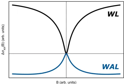 Figure  9  -  Theoretical  magnetoconductance  curves  in  the  weak  localization  (black)  and  weak antilocalization regime (blue) [65]
