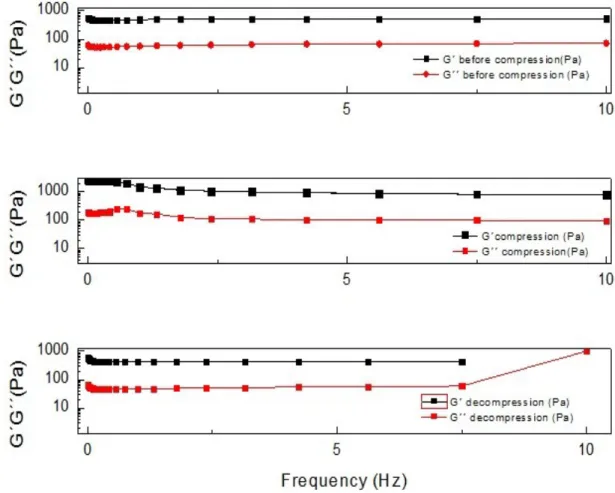 Figure 4.2 - Comparison of G´and G´´ of all states (initial, compressed and decompressed) of sample 1,  obtained with frequency sweep test 