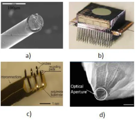 Figure 1 - Various systems configurations for neural study. Single tungsten wire without modifica- modifica-tions (a) [8]; Michigan probe, a silicon based neural probe with 1024 electrodes (b); Flexible probe  array  constituted  by  polyimide  (c)  [9];  
