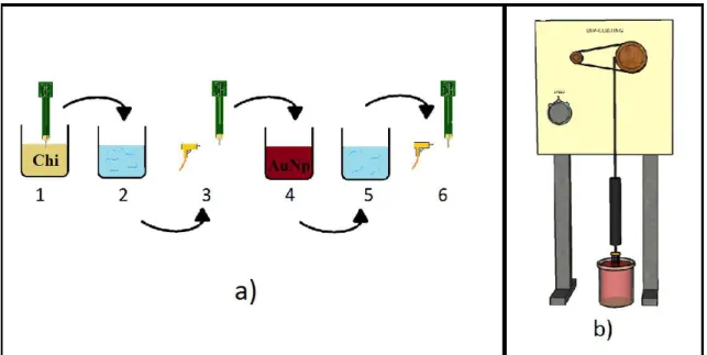 Figure 5 –  Dip-coating procedure. Schematics of the different steps that constitute the process: 1,4  –   chitosan  and  gold  nanoparticles  solution;  2,5  –   distilled  water;    3,6  –   nitrogen  drying  (a);   Dip-coating mechanism representation (
