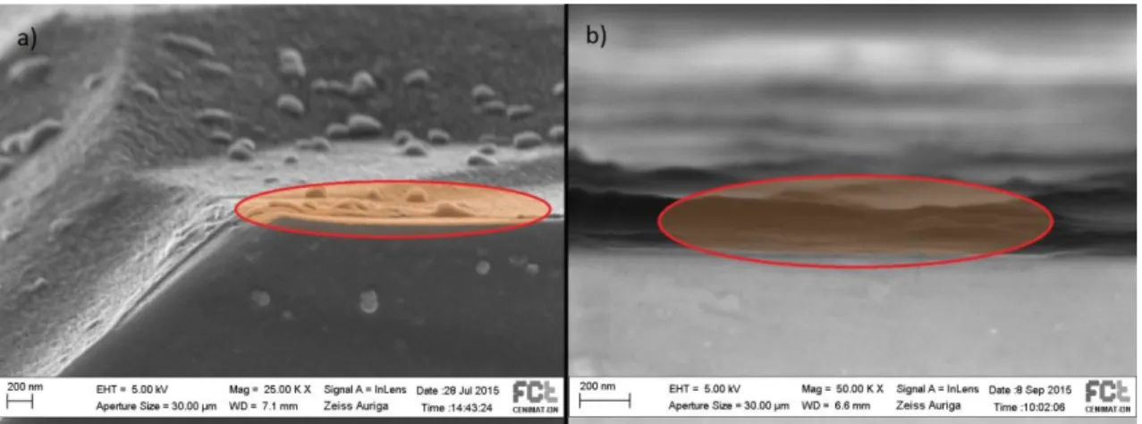 Figure 8 - Comparison between the two chitosan/gold nanoparticles films observed in SEM (high- (high-lighted in red): total of 5 layers  –  40 nm (a); total of 11 layers  –  200 nm (b)