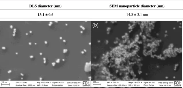 Table 3.1  -  Average diameter and standard deviation obtained by DLS and SEM images for Au NPs.