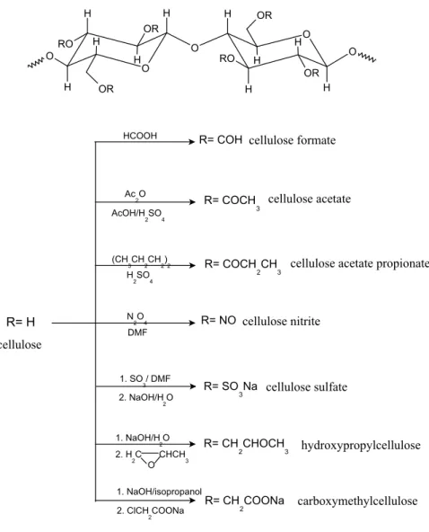 Figure 3.2: The most relevant cellulose derivatives and their synthesis pathways [72].