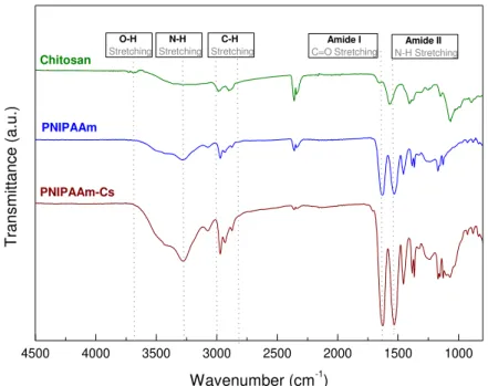 Figure 3.1 - ATR-FTIR spectrum of depolymerized chitosan (green), spectra of PNIPAAm microgels (blue) and  representative PNIPAAm-Cs microgels spectra (wine)