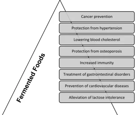 Figure 2.1 - Some health benefits of fermented foods. ( Source: Adapted from Fermented foods and bev- bev-erages of the world, 2010)