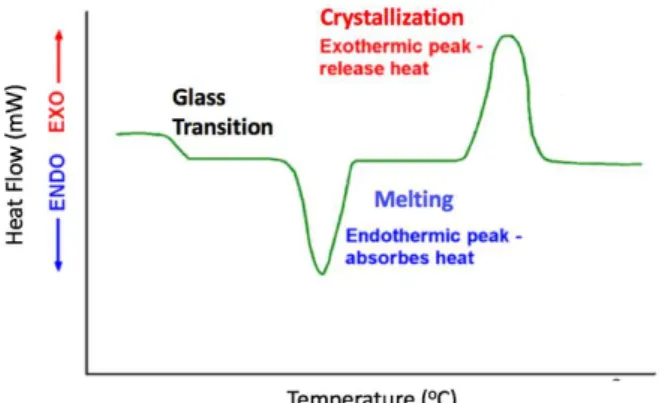 Figure 9. Differential Scanning Calorimetry profile with exothermic and endothermic  heat flow plotted versus temperature