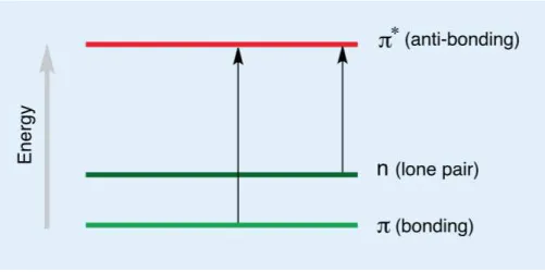 Figure 12. Representation of electronic transitions that results from light absortion