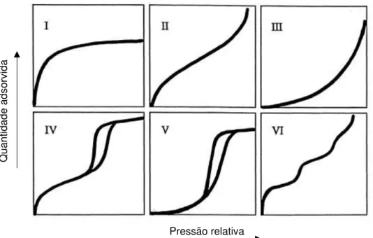 Figura 2 - Representação dos tipos de isotérmicas designadas pela IUPAC 36 .