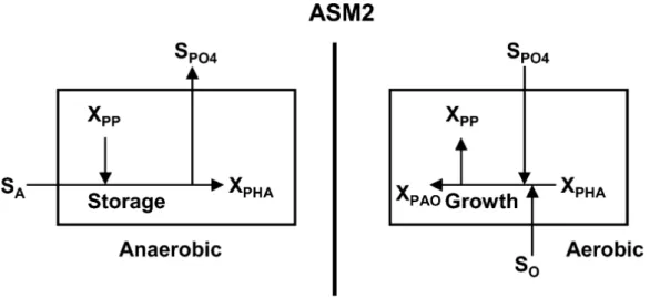 Figura 1.11-substrato flui para o armazenamento e o crescimento de PAO no modelo ASM2 (Henze et al.,  1995)