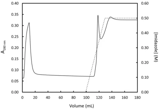 Figure  11  –  Second  purification  step  of  15 N-labeled  FUS  by  Ni-NTA  affinity  chromatography  –  Elution profile for the second IMAC purification step of  15 N-labeled FUS