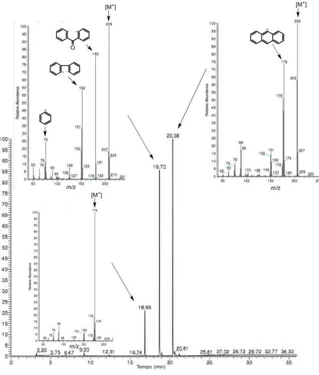 Figura 2.3 - Cromatograma da mistura obtida na lavagem com éter etílico do resíduo da reação de formação  do composto 3b