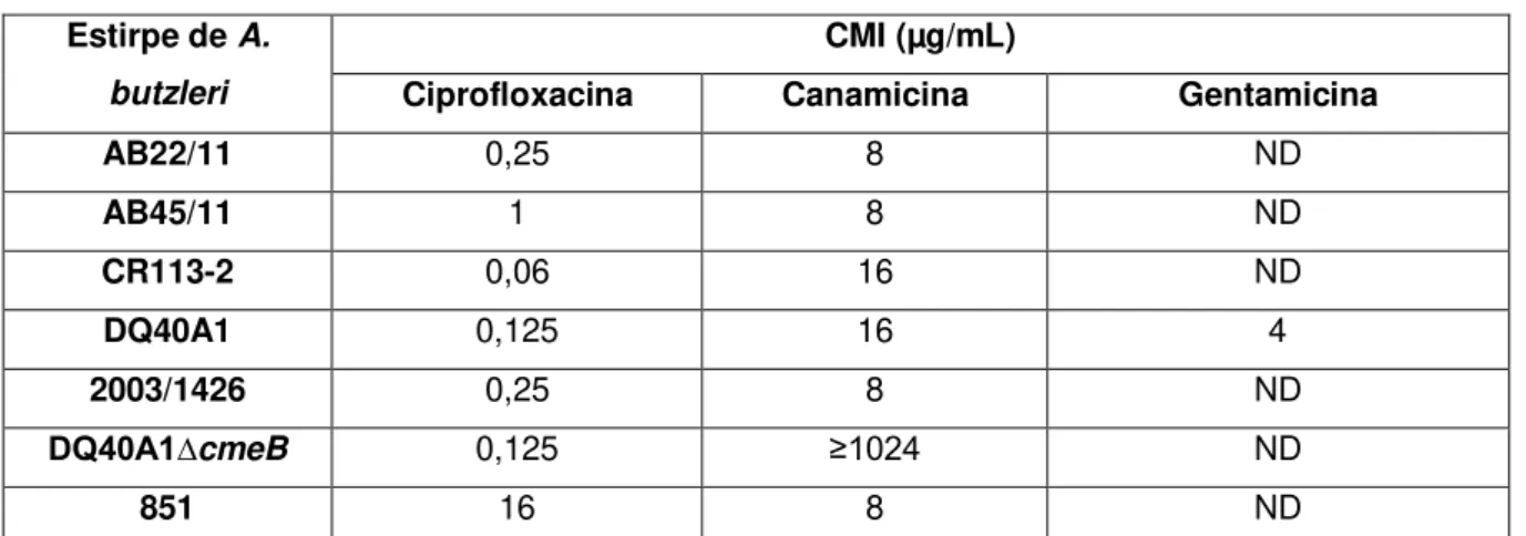 Tabela  4.1.  Concentração  mínima  inibitória  dos  antibióticos  ciprofloxacina,  canamicina  e  gentamicina  para  as  diferentes estirpes recetoras de Arcobacter butzleri usadas neste estudo