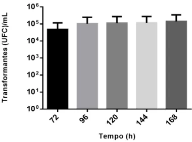 Figura 4.1. Representação gráfica dos transformantes (UFC)/mL em função do tempo de incubação, utilizando o  método C de transformação natural em meio sólido a 37°C e sob condições de microaerofilia