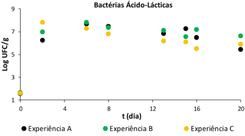 Figura 3.4 Variação da população de bactérias ácido-lácticas (BAL) durante a fermentação de couve branca nas  experiências: A – ensaio controlo realizado com sal de mesa; B – ensaio realizado com salicórnia; C – ensaio  realizado com sal de mesa e salicórn