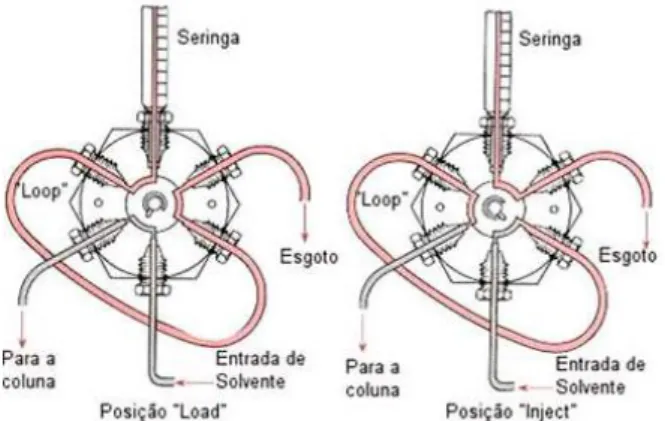Figura 2 – Esquema de um injetor em “loop”[8] 