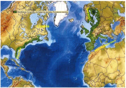 Figura 1.4. - Distribuição Geográfica da lampreia-marinha Petromyzon marinus Canadá