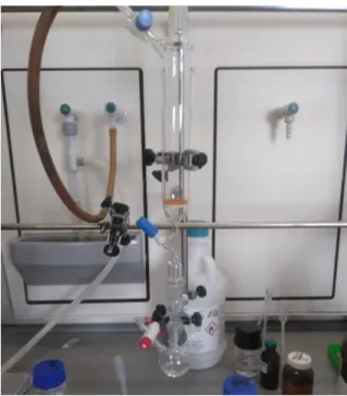 Figure 2.1: SPPS assembly, consisting on a filter reaction vessel, round bottom flask, neck glass adapter and a nitrogen stream.