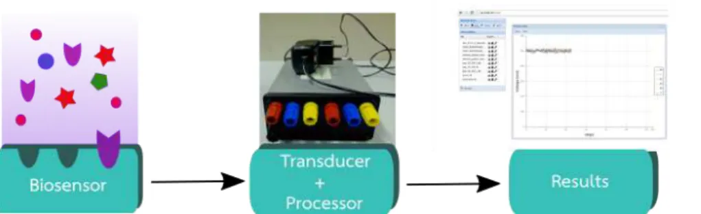 Figure 5.1: Experimental conﬁguration: The electrode recognize the bacillus of the sample