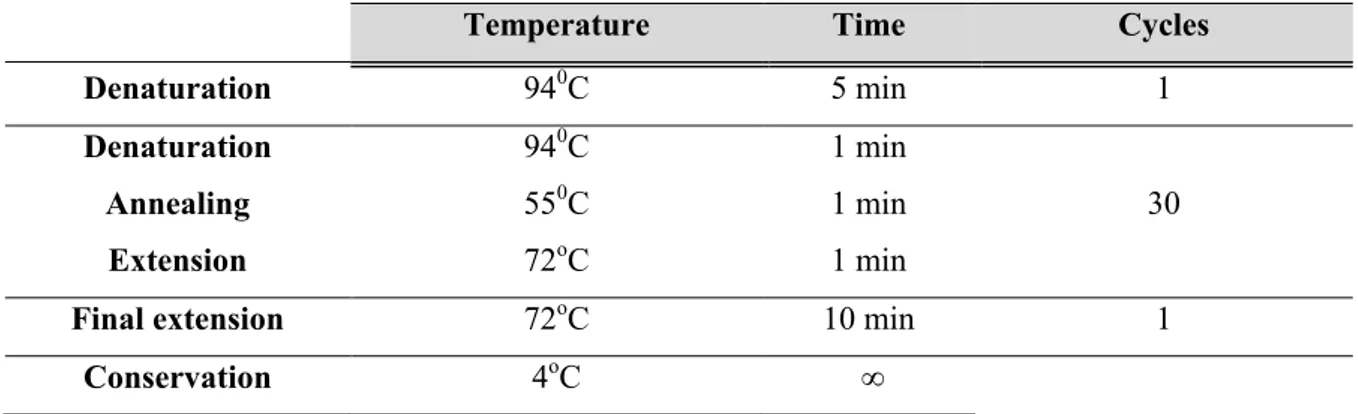 Table 2.3 | Capsular typing PCR protocol. 