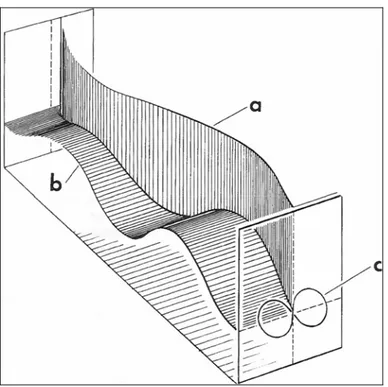 Figura 02: Centro de massa durante a marcha, a) deslocamento lateral; b) vertical e c) plano  perpendicular às projeções a e b