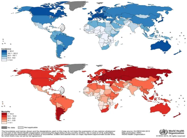 Figure 2- Worldwide colorectal cancer incidence and mortality rates.  (Age adjusted according to the world standard  population, per 100 000) in males in 2012 (GLOBOCAN 2012)