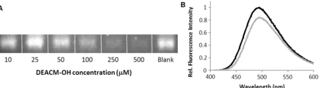 Figure 6. Eﬀect of DEACM-OH in transcription reactions. (A) Transcription levels in reactions containing unmodiﬁed ATP, CTP, GTP and UTP in presence of increasing DEACM-OH concentrations