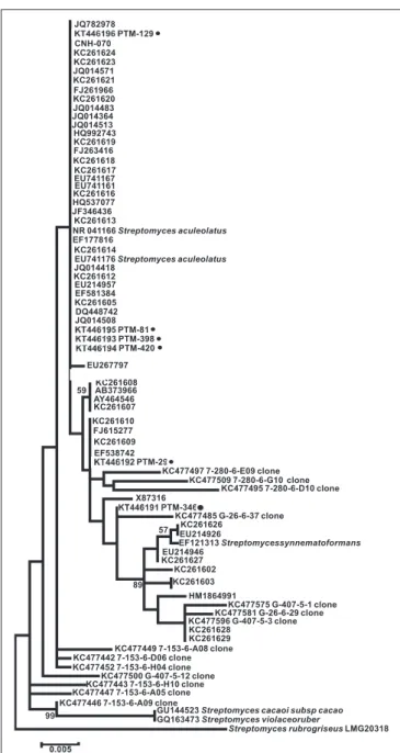 FIGURE 4 | Maximum Likelihood phylogenetic tree using 16s rRNA (1279 bp and 1000 bootstraps) from Madeira actinomycete strains belonging to the previously described MAR4 group