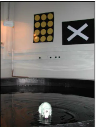 Figura 3 - Fotografia de um rato sobre a plataforma de escape no LAM 