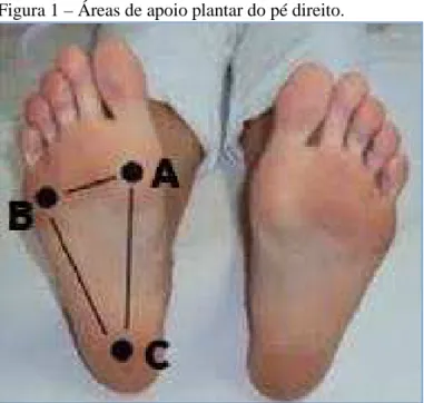 Figura 1 – Áreas de apoio plantar do pé direito. 