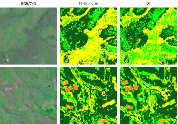 Figure 7. (Top row) Detail on the Grassland and Shrubland classification comparison between FF-Uninorm and DT