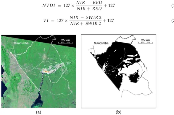 Figure 1. (a) Landsat 5 image taken in 1989 over the district of Mandimba (RGB-Bands 743) and (b) in black, the mask of the Mandimba district and areas not covered by clouds in the 3 images.