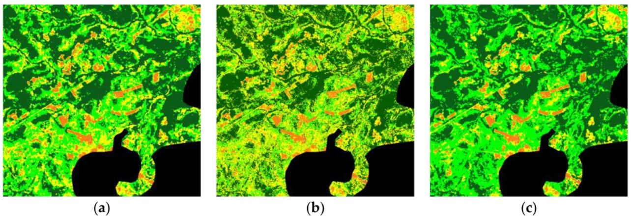 Figure 3. (a) Land cover ground-truth classification as published by Temudo et al. [2]; (b) Fuzzy-Fusion (FF)-Uninorm classification; (c) FF-Uninorm classification after applying a mean filtering.