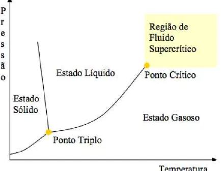 Figura 3.1. Diagrama de fases dos fluidos. Fonte: Cassel et al.(2008) 