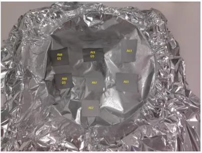 Figure 3.3  –  Samples after deposition of reused CNTs. 