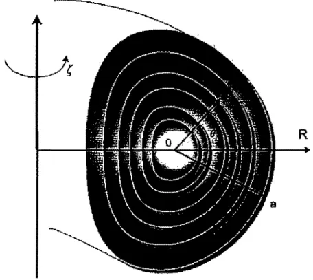 Figura 1.2 ­ Desenho das súperfícies  magneticas  1/1(1&#34;, B)  num tokumek de íanua i.ilongada  (D­shape). 
