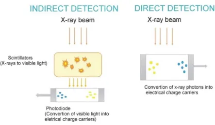 Figure 1.1  –  Schematic representation of (a) indirect detection and (b) direct detection