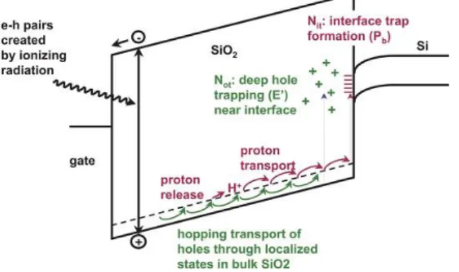 Figure  1.5  – Schematic  energy  band  diagram  for  MOS  structure,  indicating  major  physical  processes  underlying radiation response [43]