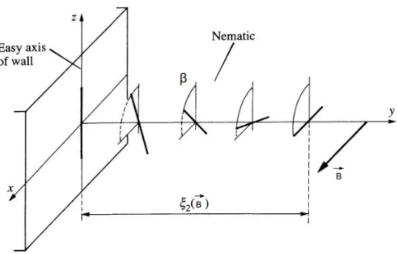 Figure 3.1: Schematic representation of a simple twist. The nematic molecules are parallel to the z axis near the wall, and parallel to B~ far from the wall