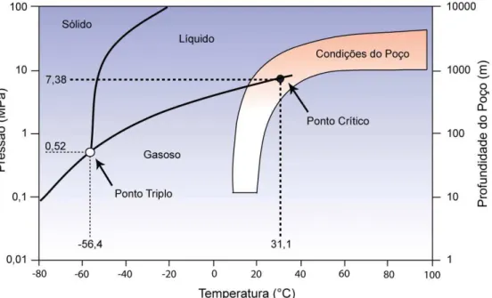 Figura 3.1. Diagrama de fases do CO 2 . Adaptado de van der Meer et al. (2005). 