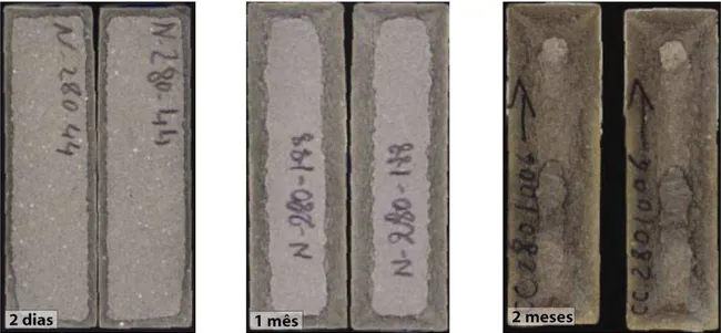 Figura 3.13. Corpos-de-prova de cimento degradadas por CO 2  supercrítico. Adaptado de Barlet- Barlet-Gouédard et al