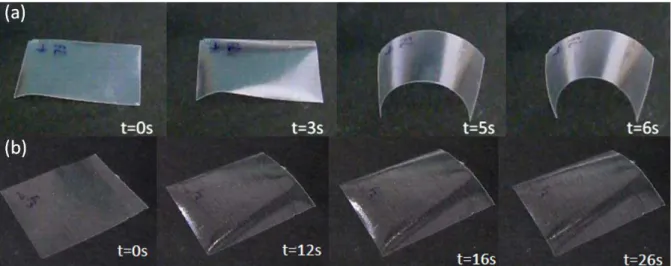 Figure 3.4 –  Series of video frames showing the bending of the top surface of free standing films of HPC from  the two suppliers (a) Alfa Aesar and (b) Sigma Aldrich, with thicknesses approximately 22 μm and 29 μm,  respectively, when exposed to moisture