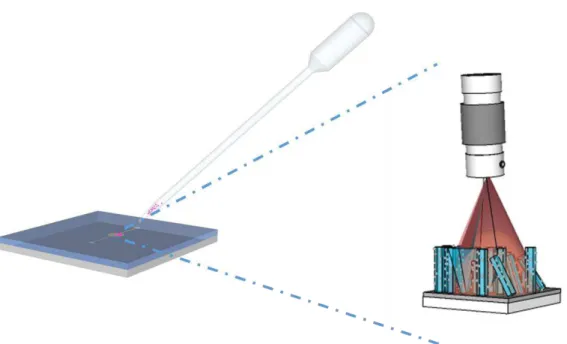 Figure 1 - Schematics of a microfluidic device incorporating a SERS substrate. 
