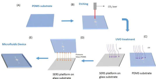 Figure 2. 3 - Schematic of the production of microfluidic device: (A) PDMS substrate; (B) Etching of the  PDMS by CO 2  laser, making the microfluidics channel and well; (C) UVO treatment of PDMS substrate  and glass substrate with SERS platform; d) Sealin