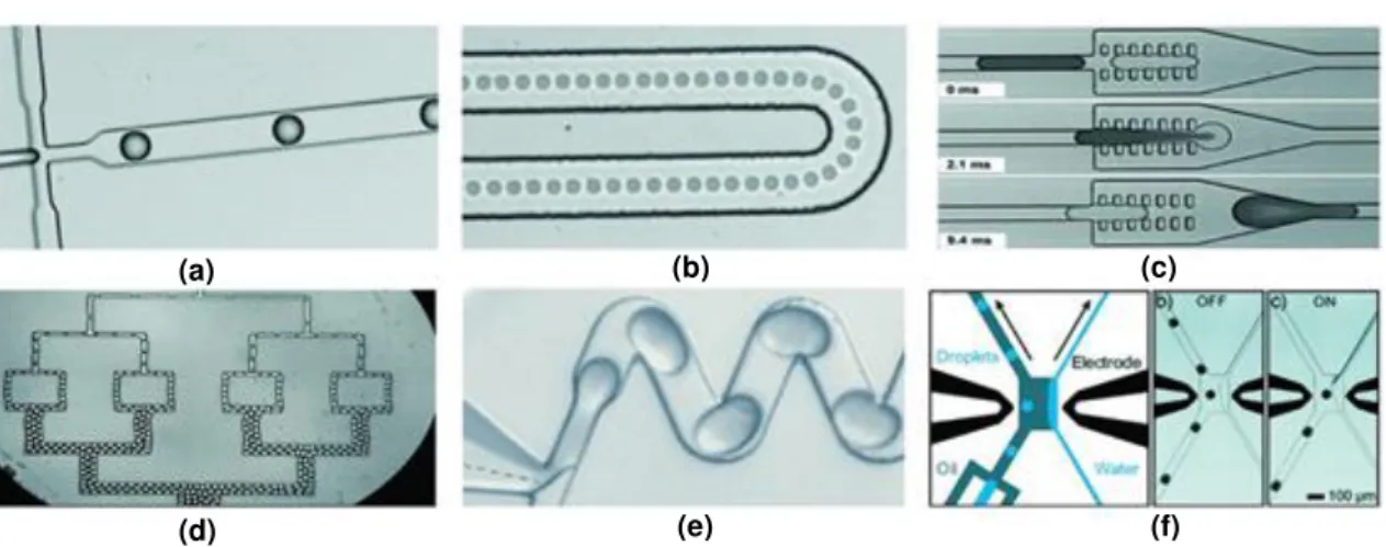 Figure 1.3. Droplet microfluidics operations: a) production; b) transport; b) fusion; d) fission; e) mix; f) sort